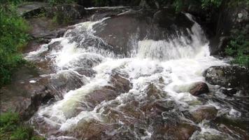 cascada en el bosque salvaje río de corrientes de agua que fluyen en las rocas video