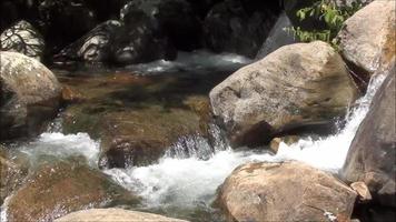 cascata nella foresta selvaggia fiume di correnti d'acqua che scorrono nelle rocce video