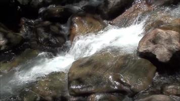 waterval in het wilde bos rivier van waterstromen die in de rotsen stromen video