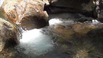 Wasserfall im wilden Waldfluss von Wasserströmungen, die in den Felsen fließen video