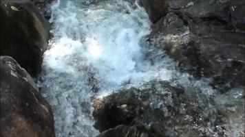 Wasserfall im wilden Waldfluss von Wasserströmungen, die in den Felsen fließen video