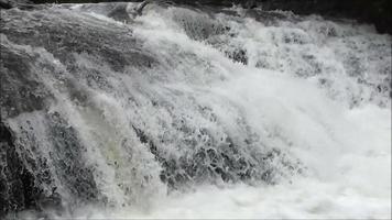 Wasserfall im wilden Waldfluss von Wasserströmungen, die in den Felsen fließen video