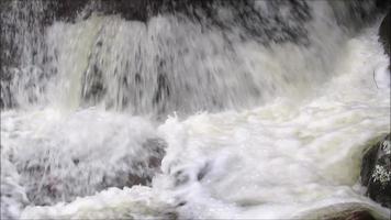 Wasserfall im wilden Waldfluss von Wasserströmungen, die in den Felsen fließen video