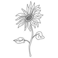 Sunflower on a long stem with leaves in doodle style. Isolated outline. Hand drawn vector illustration in black ink on white background.