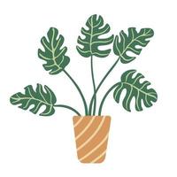 Monstera houseplant in a flower pot. Flat style. Vector hand drawn illustration isolated on white background.