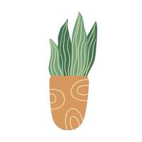 Sansevieria houseplant in a flower pot. Flat style. Hand drawn illustration isolated on white background. vector