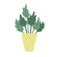 Green houseplant with big leaves in a flower pot. Flat style. Vector hand drawn illustration isolated on white background.