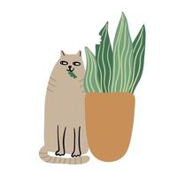 Cat eating plant. Sansevieria houseplant in a flower pot. Flat style. Vector hand drawn illustration isolated on white background. Funny pet.