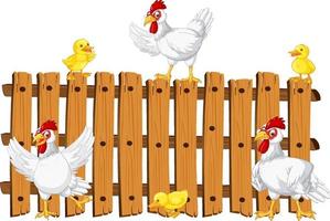 Chickens on wooden fence vector