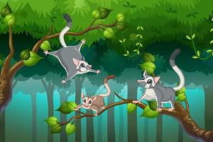 Scene with sugar gliders in the forest vector