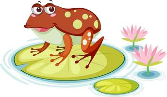 Cute frog on lily pad on white background vector