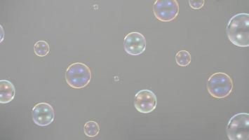 Soap bubble drop or Shampoo bubbles floating like flying in the air photo