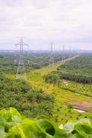 Poles for high-voltage power lines across agricultural gardens photo