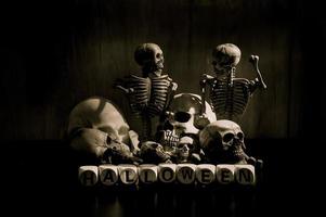 An arrangement of still life art of a long-deceased human skull on the eve of Halloween photo