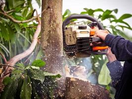 The gardener is using a chainsaw to prune trees photo