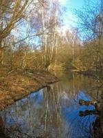 river in beautiful landscape with trees photo