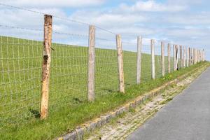 path with fence through the field photo