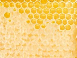 bee honeycomb closeup, fresh stringy dripping sweet honey, macro background photo