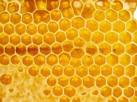 bee honeycomb closeup, fresh stringy dripping sweet honey, macro background photo