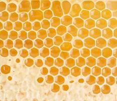 bee honeycomb closeup, fresh stringy dripping sweet honey, macro background photo
