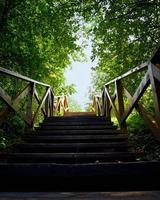 camino, camino de la oscuridad a la luz, cielo azul, una escalera de madera entre árboles, naturaleza de verano foto
