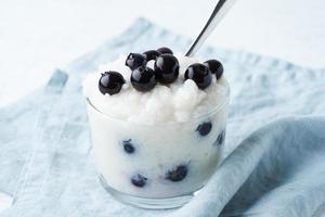 Vegan Coconut Rice Pudding with blueberry, gluten free dessert, side view. photo