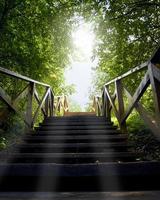 camino, camino de la oscuridad a la luz, cielo azul, una escalera de madera entre árboles, verano foto