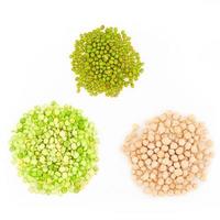 tres tipos de legumbres secas crudas: garbanzos, frijol mungo, guisantes verdes, aisladas en fondo blanco foto