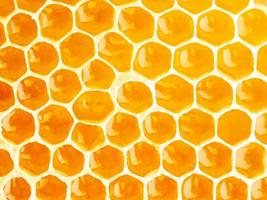 primer plano de panal de abeja, miel dulce goteante fibrosa fresca, fondo macro foto