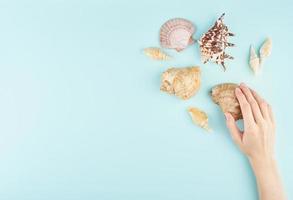 Woman hand touching seashell next to other shells, on blue background top view copy space