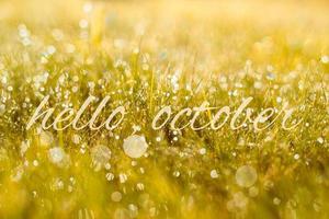 otoño, pancarta de otoño con saludo hola octubre, campo dorado con hierba de pradera, en rayos de sol foto