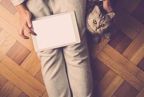 mujer sentada en el suelo con un gato lindo y mirando una tableta, buscando en Internet, comprando en línea foto