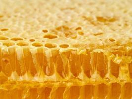 bee honeycomb closeup, fresh stringy dripping sweet honey, macro background photo