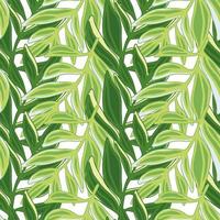 Tropical pattern, palm leaves seamless. Modern jungle leaf seamless pattern. Botanical floral background. vector