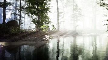 nevoeiro denso branco de manhã cedo cobrindo a lagoa