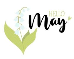 Spring Greeting card Hello May. Beautiful May lily of valley with leaves. Vector illustration for design, postcards, decor and decoration, print