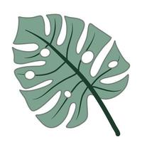 Tropical leaves vector for monstera leaf