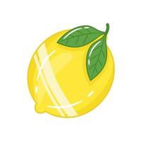 Fresh vegetable yellow lemon vector