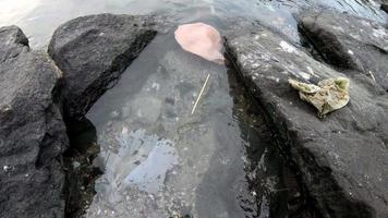 écoulement plastique dans l'eau à la pierre de roche