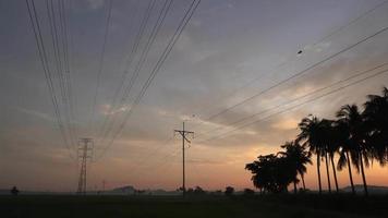 Tilt down natural scene of paddy field with electric tower video