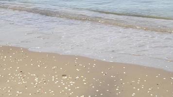 vue ensoleillée sur l'eau de mer a frappé la côte video