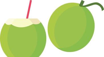 vector illustration of two fresh coconuts