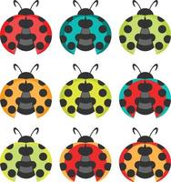 vector illustration of a set of beetles in various colors