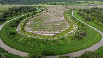 Aerial view oil palm tree planned for replant video