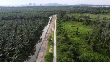 movimento aéreo sobre a estrada rural perto de óleo de palma