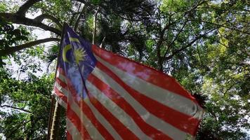 Aerial rotate follow Malaysia flag video
