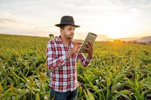 Agronomist holds tablet touch pad computer in the corn field and examining crops before harvesting. Agribusiness concept. Brazilian farm. photo