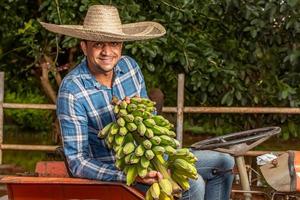 Farmer man, worker siting in tractor holding in hands harvest of organic fresh green bananas. Bio and organic cultures, farming, private garden, orchard, natural economy photo