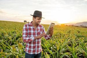 Agronomist holds tablet touch pad computer in the corn field and examining crops before harvesting. Agribusiness concept. Brazilian farm. photo