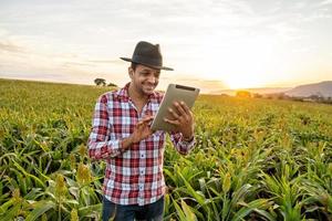 Agronomist holds tablet touch pad computer in the corn field and examining crops before harvesting. Agribusiness concept. Brazilian farm. photo